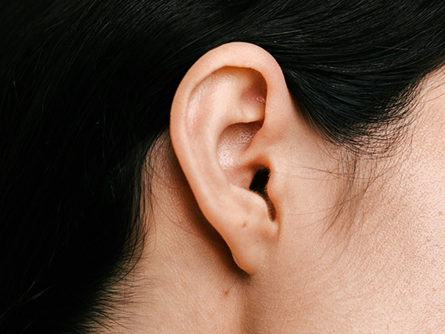 Nahaufnahme eines menschlichen Ohrs mit intaktem Ohrläppchen und dunklen Haaren.
